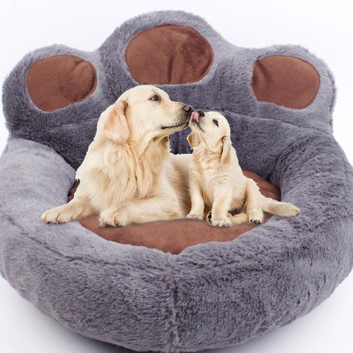 Hospital Veterinario Planeta Vida  - Latacunga Ecuador